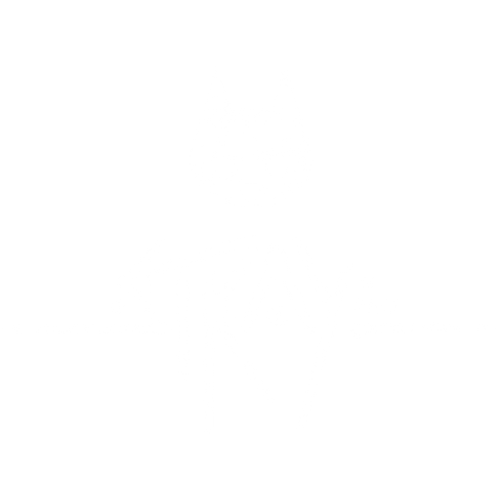 Stray XBOX Digital Code Key